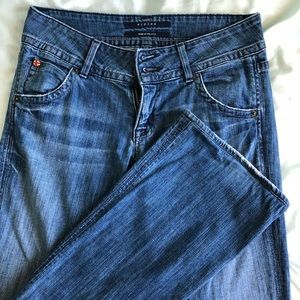 Hudson flare low rise jeans in a 26